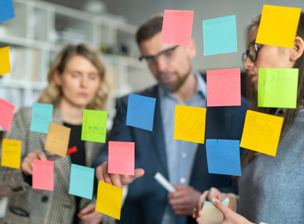 canvas-4-68bcd4dadc234842add89170